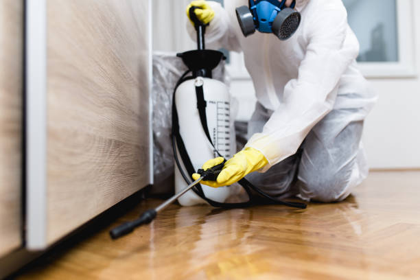 Best Wasp Removal Services  in Mcswain, CA
