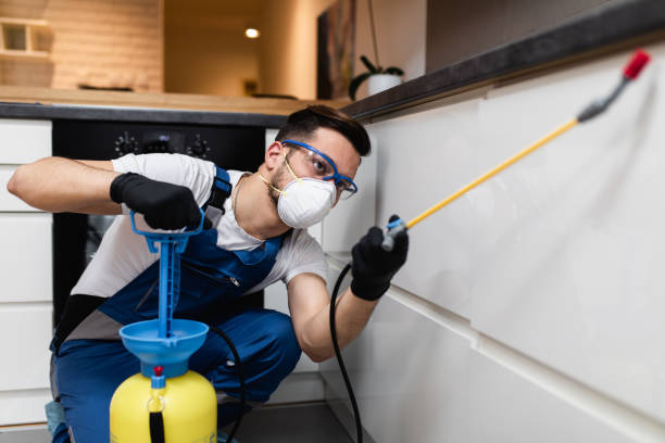 Best Pest Prevention Services  in Mcswain, CA