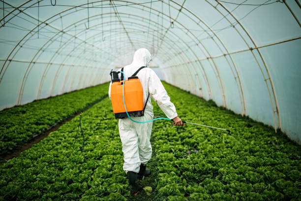 Reliable Mcswain, CA Pest Control Solutions