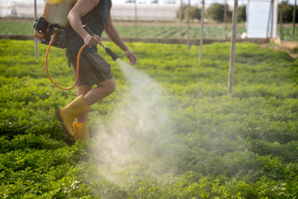 Best Wildlife Control Services  in Mcswain, CA