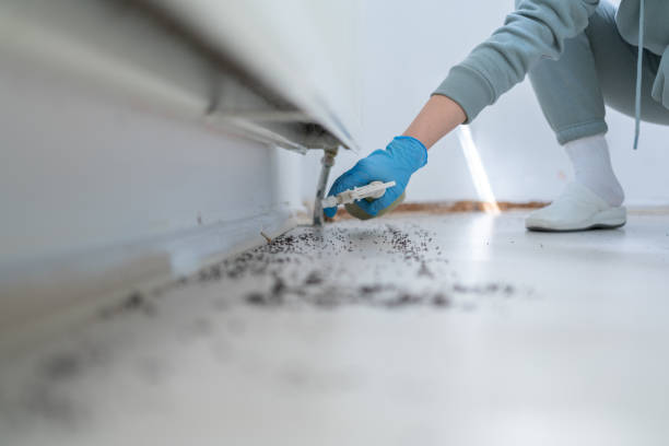 Wildlife Control Services in Mcswain, CA
